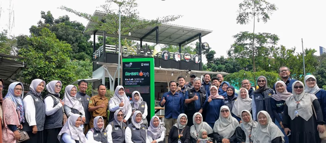 Sorgumology: Bangun Ketahanan Pangan dengan Sorgum